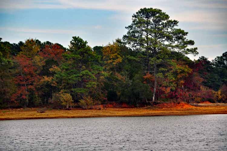 Savannah River Scenic Byway